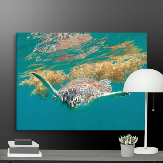 🌊 Why Ocean Prints Are Perfect for Stress-Free Living Spaces