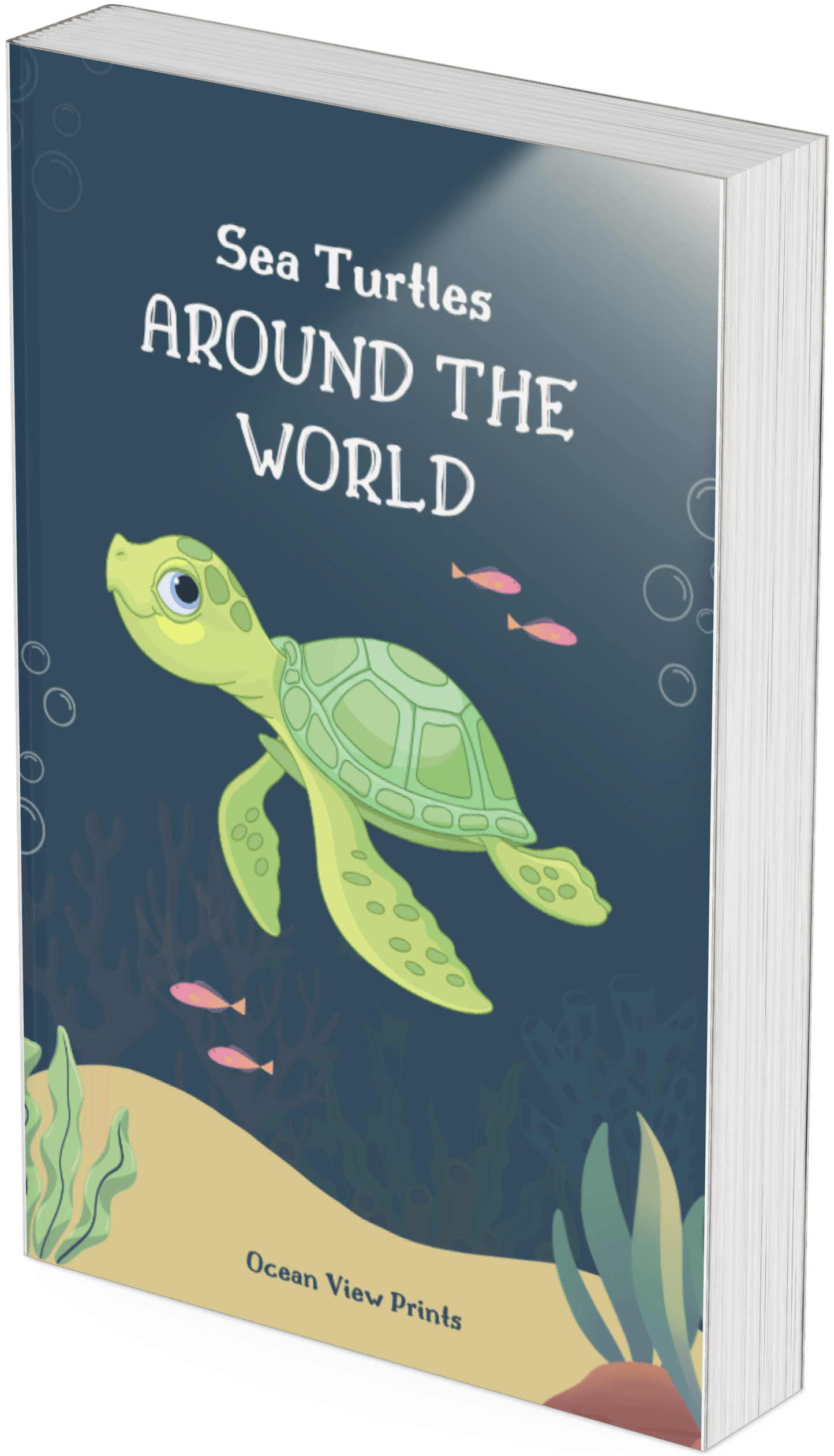 A Guide to Finding Sea Turtles Around the World