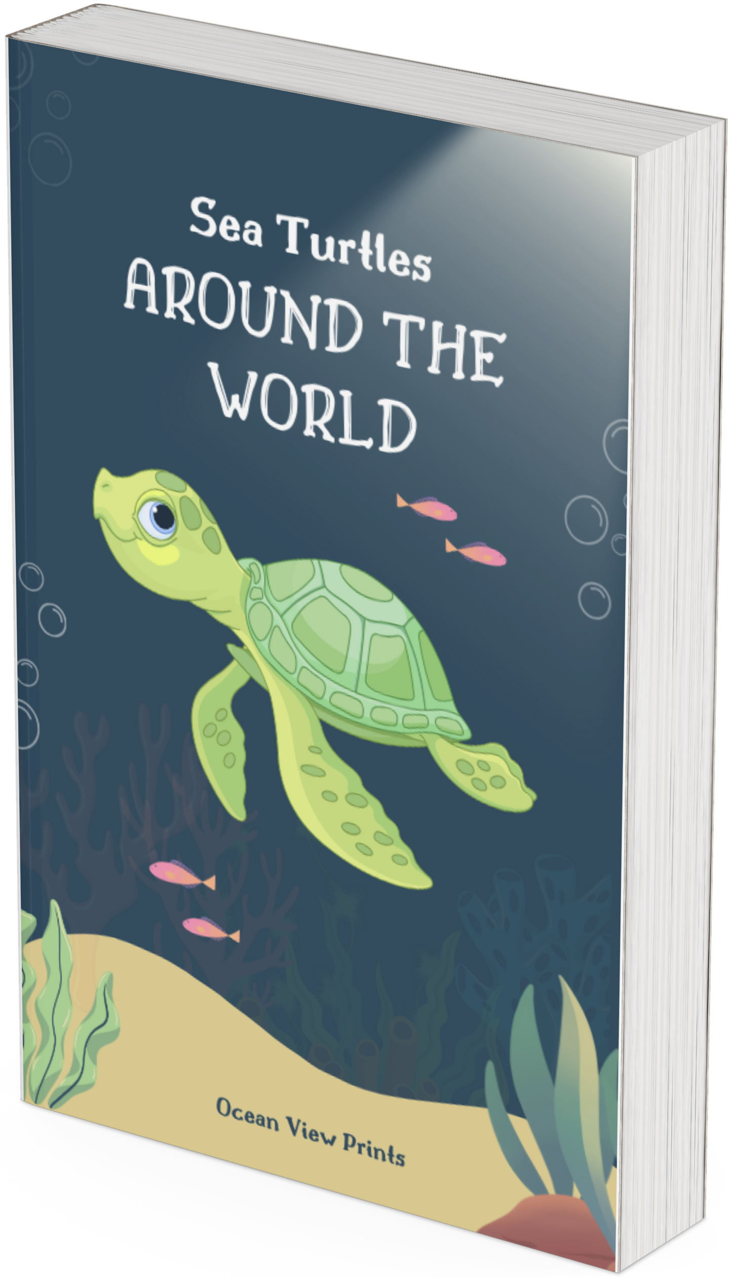 A Guide to Finding Sea Turtles Around the World