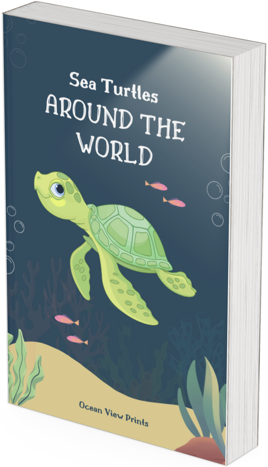 A Guide to Finding Sea Turtles Around the World