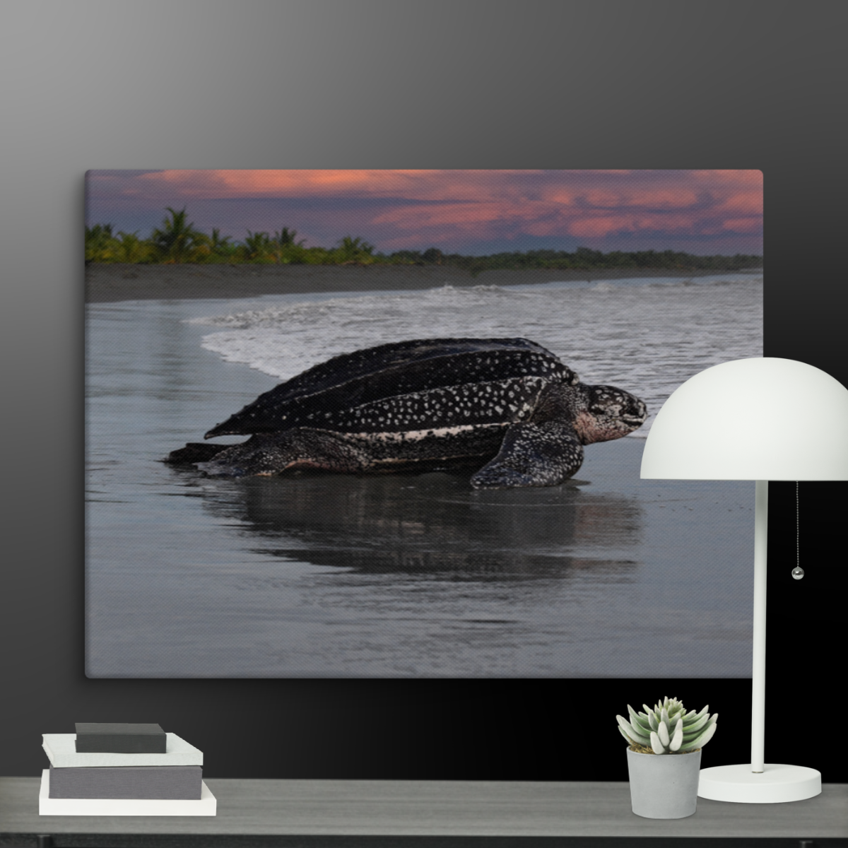 Leatherback on Black Sand beach (Sunset)