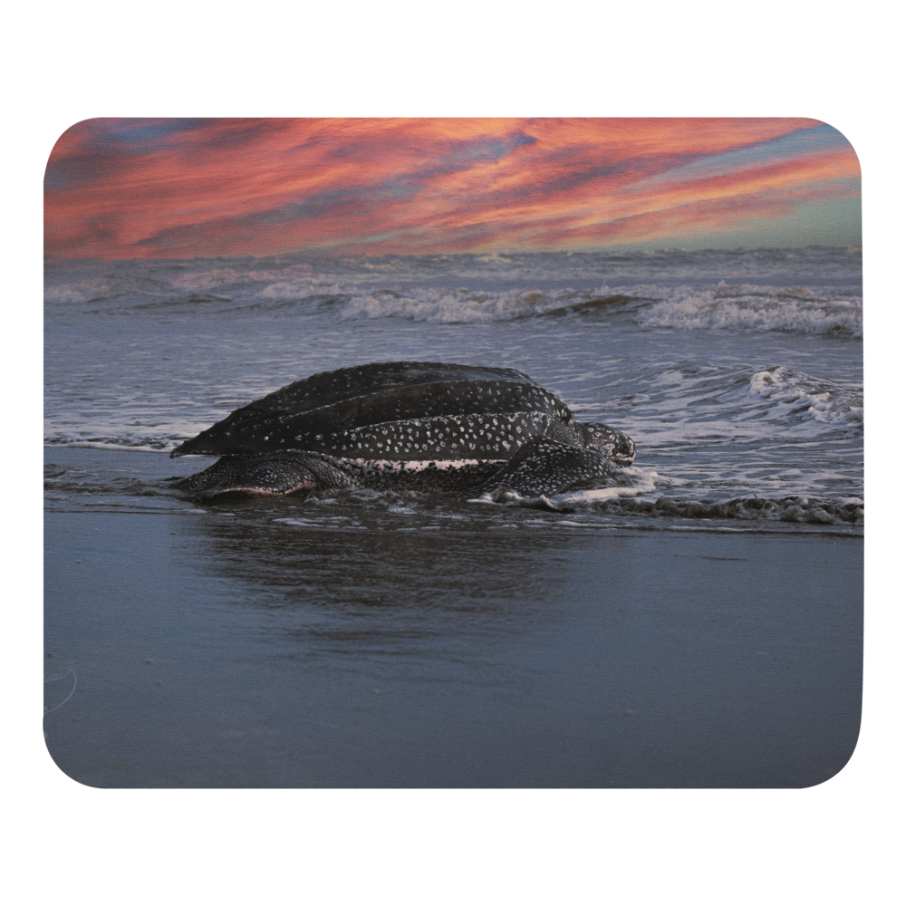 Ocean View Mouse Pad