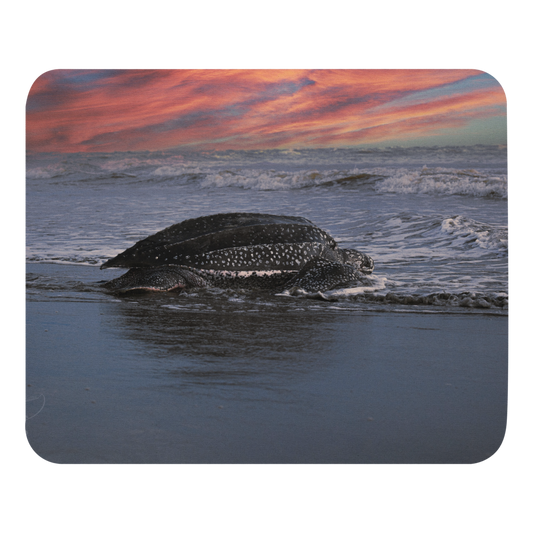 Ocean View Mouse Pad