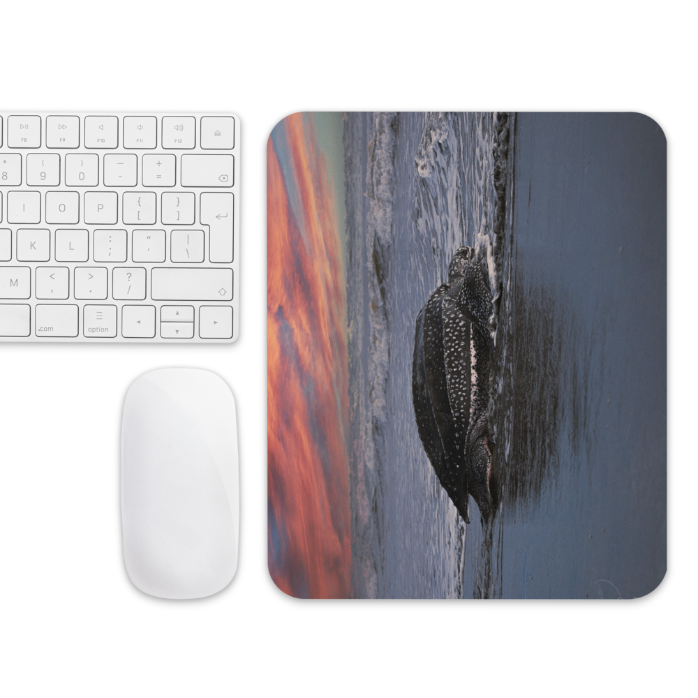 Ocean View Mouse Pad