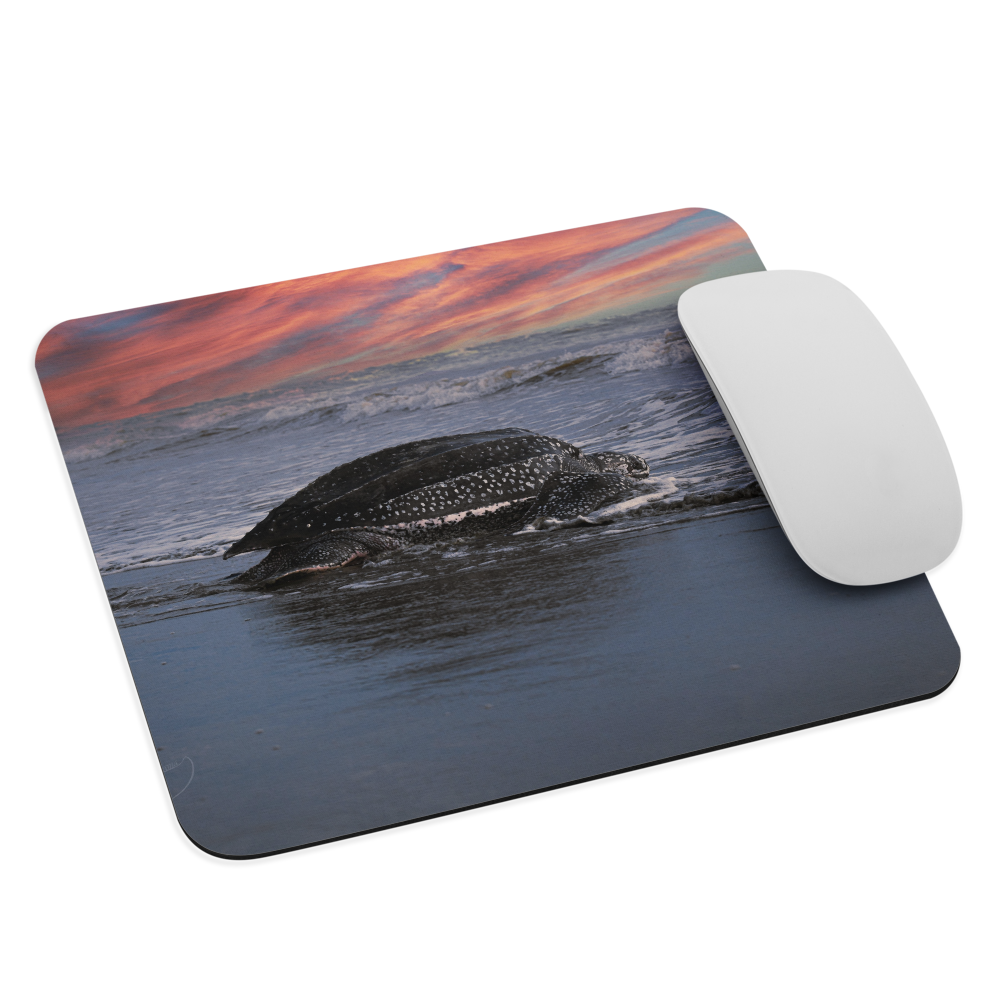 Ocean View Mouse Pad