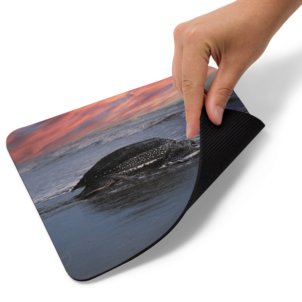 Ocean View Mouse Pad